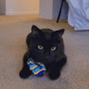 Meet your Posher, Renee